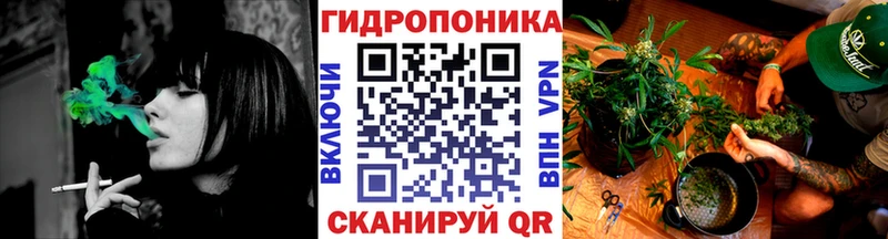 Канабис план  где можно купить   darknet официальный сайт  Чапаевск 